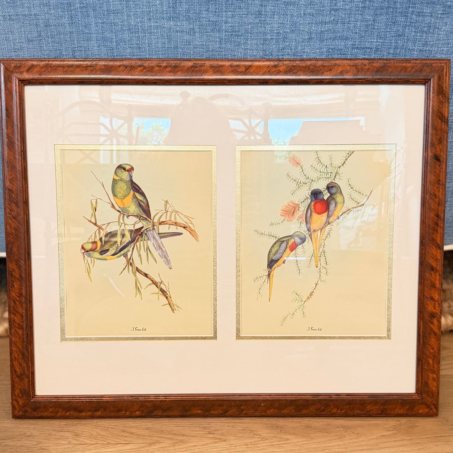 Vintage Tropical Bird Prints After John Gould in Custom Faux-Tortoiseshell Frame