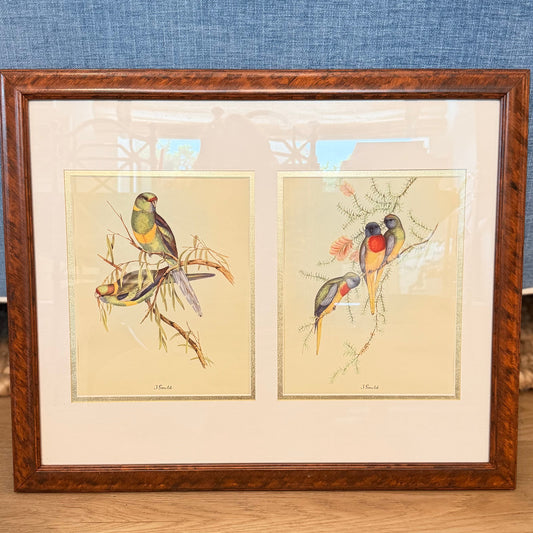 Vintage Tropical Bird Prints After John Gould in Custom Faux-Tortoiseshell Frame