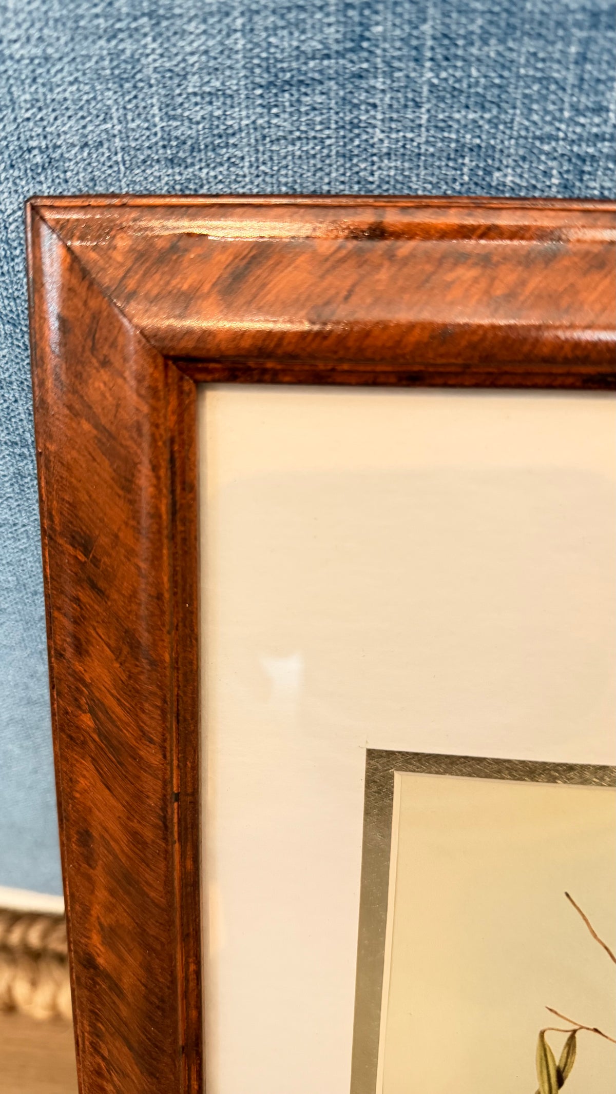 Vintage Tropical Bird Prints After John Gould in Custom Faux-Tortoiseshell Frame