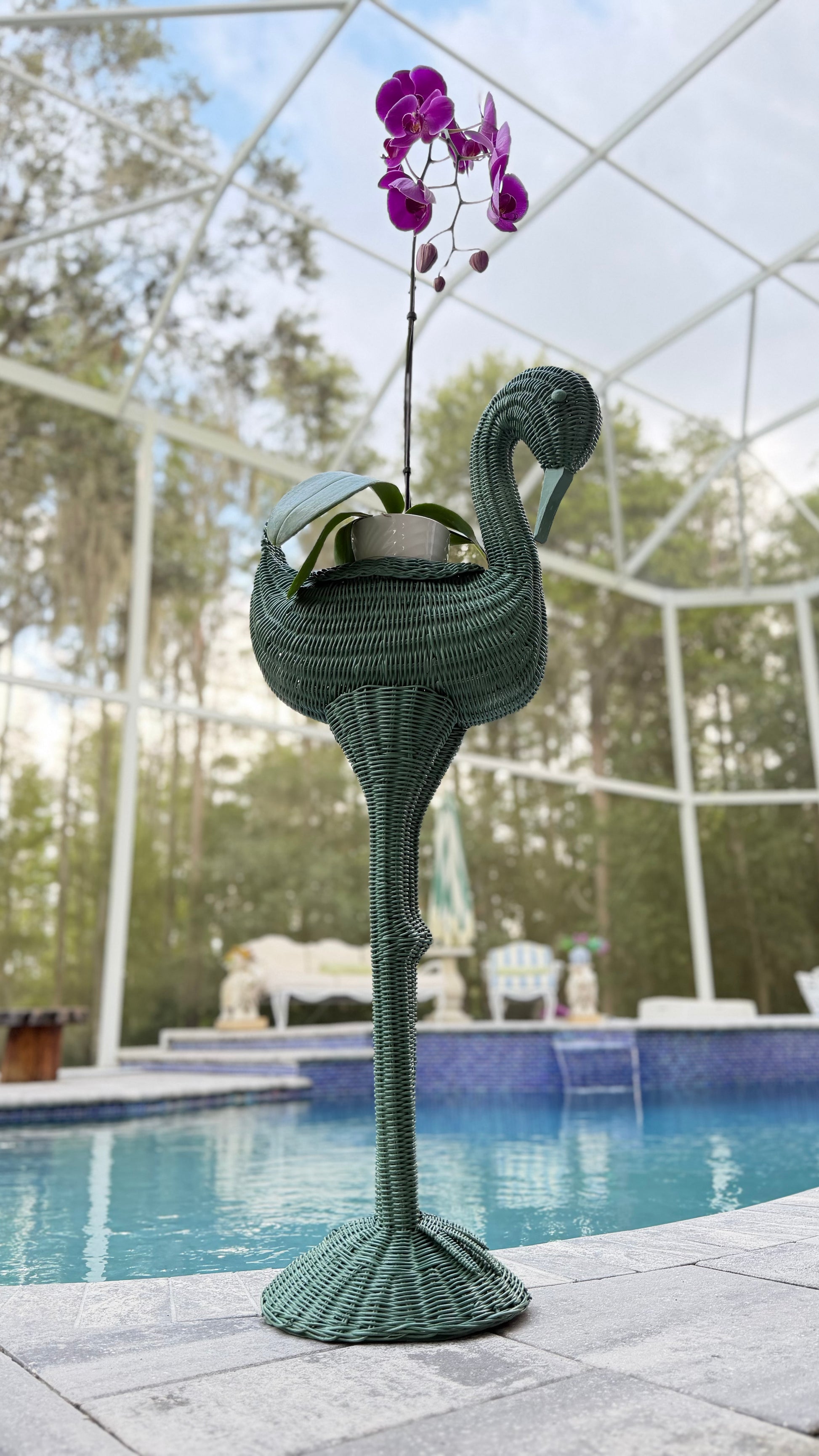Vintage 39-inch wicker flamingo plant stand in Messel green styled with a magenta orchid beside a swimming pool